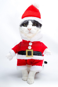 马斯 愉快的 假日 圣诞老人 招呼 服装 可爱的 卡片 庆祝