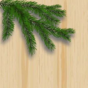 绿色茂盛的树枝，现实的杉树和树荫。 背景与木制纹理。 插图