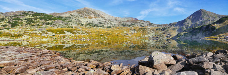 森林 公园 风景 欧洲 小山 镜子 反射 全景 冰川 阿尔卑斯山