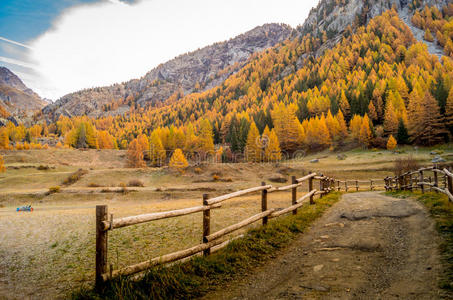 五颜六色的山景，秋天的颜色，山，天空和水