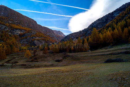 五颜六色的山景，秋天的颜色，山，天空和水