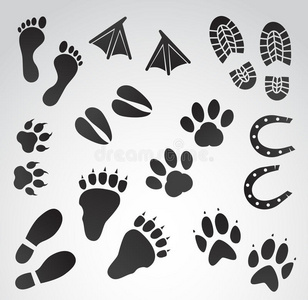 脚印矢量图标集.照片