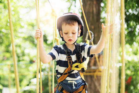 儿童 游戏 马具 耐力 自然 勇敢的 森林 闲暇 钩环 冒险