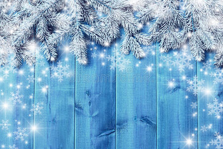 蓝色木板和圣诞树树枝