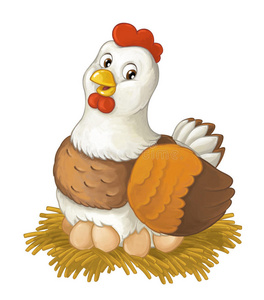 快乐的母鸡图片