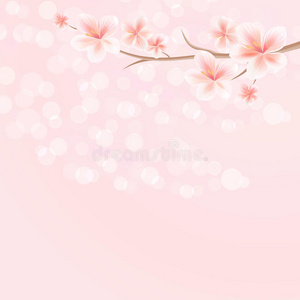 花卉设计。 樱花枝与花。 粉红色博克背景的樱花。 矢量EPS10，CMYK