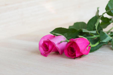 母亲 颜色 美丽的 浪漫的 粉红色 招呼 花瓣 浪漫 庆祝
