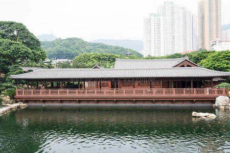 尼姑庵 芝加哥 寺庙 九龙 亭阁 花园 日本人 文化 古典的