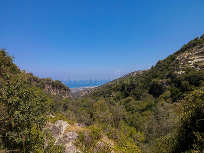 植物区系 地中海 夏天 旅行 城市景观 海景 植物 美女