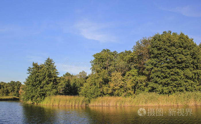 颜色 自然 风景 近的 反射 夏天 阳光 地平线 森林