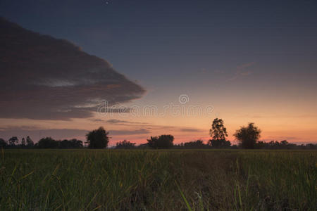 日落前的夜空。 哈莱金美丽的稻田和