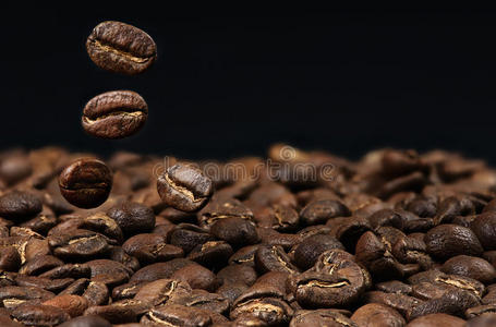 种子 纹理 摩卡 能量 咖啡 咖啡馆 坠落 卡布奇诺