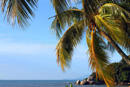 天空 天堂 海洋 加勒比 太阳 夏天 求助 自然 槟城 海景