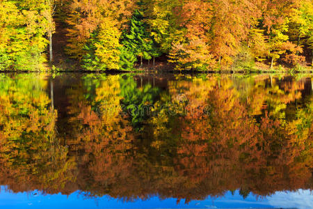 秋天的树在湖水中倒影。