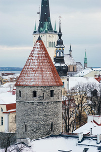 建筑学 风景 首都 爱沙尼亚 教堂 天空 屋顶 欧洲 古老的