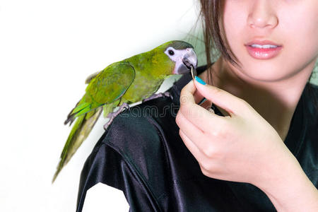 可爱的绿色金刚鹦鹉宠物在肩膀上的女人。