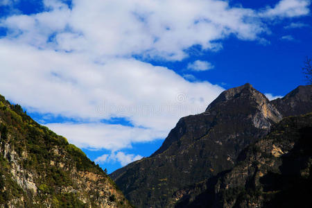 旗帜 风景 高程 草地 阿尔卑斯山 康定 美丽的 甘孜 美女