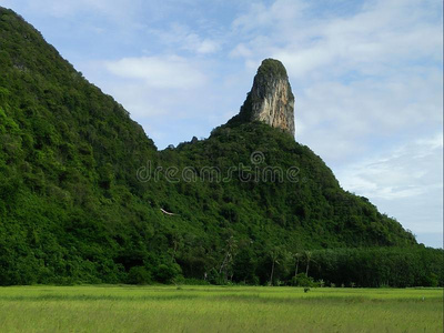 国家是泰国的山