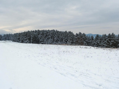 雪地