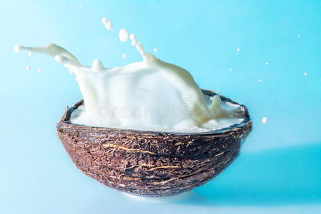椰子与牛奶溅在蓝色背景,溅牛奶在椰子照片