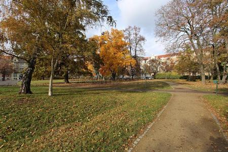 秋天的城市公园里满是五颜六色的叶子