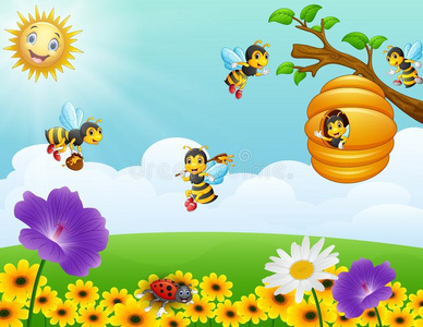 蜜蜂在花园绣球花图片