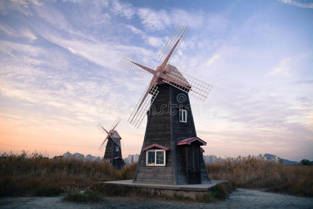 荷兰 运河 涡轮 丹麦 旅行 欧洲 建筑学 磨坊 风景 权力