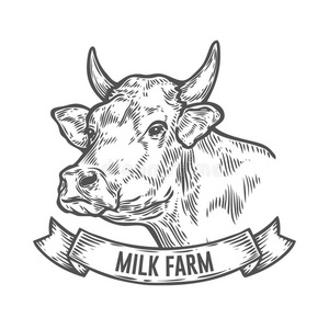 牛头肉图片-牛头肉素材-牛头肉插画-摄图新视界