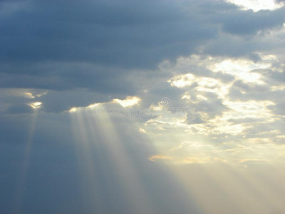 从阳光刺眼图片