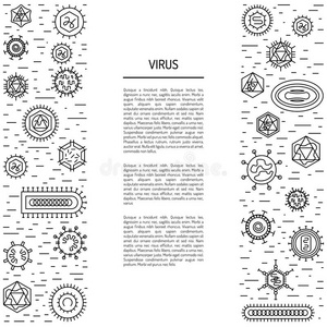 病毒和细菌的细胞