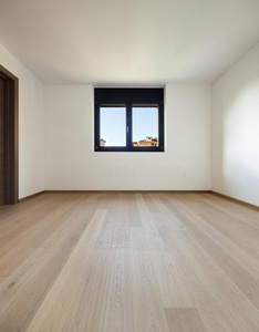 建筑学 房间 房子 地板 宽的 天花板 房地产 真实的 新的