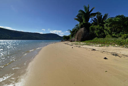 海滩 美女 沿海 天空 岩石 自然 风景 海湾 森林 石头