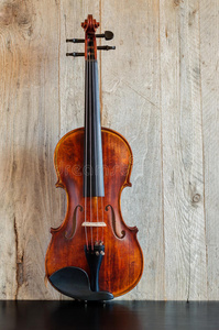 木材 马齿苋 好的 指板 尾翼 纸卷 脖子 工具 小提琴