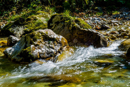 小溪有快速流动的清澈的水