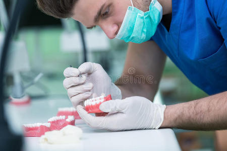 校正 王冠 丙烯酸 健康 研磨 错牙合 牙科 衰退 牙医