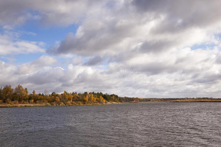 白俄罗斯 秋天 风景 桦木 美女 尼曼 国家的 美丽的 颜色
