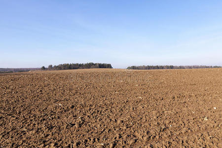 黏土 特征 特写镜头 土地 领域 堆肥 建设 腐殖质 空的