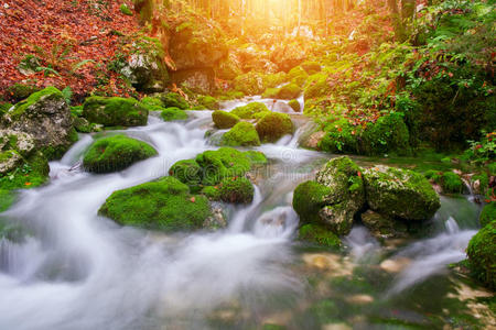 欧洲 自然 晶体 苔藓 公园 国家的 级联 风景 公司 秋天