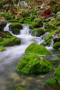 欧洲 风景 秋天 美丽的 苔藓 天堂 岩石 晶体 山腰 流动的