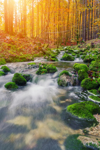 风景 落下 公园 自然 晶体 公司 级联 国家的 山腰 苔藓