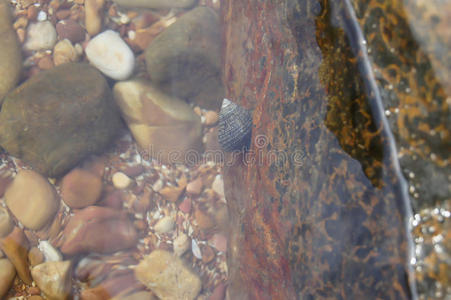 材料 冒险 海滩 苔藓 美丽的 自然 海洋 公司 花岗岩