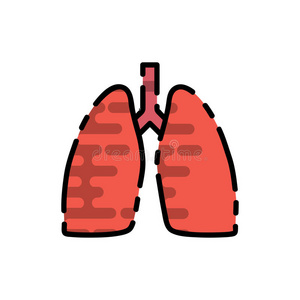 肝脏 器官 胆囊 身体 圆圈 体育课 膀胱 生物学 眼睛