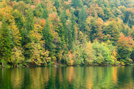 奥图姆森林湖科扎克在普利特维国家公园
