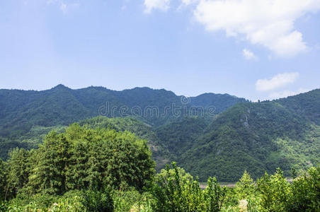 国家 领域 美女 外部 美丽的 假日 环境 自然 森林 风景