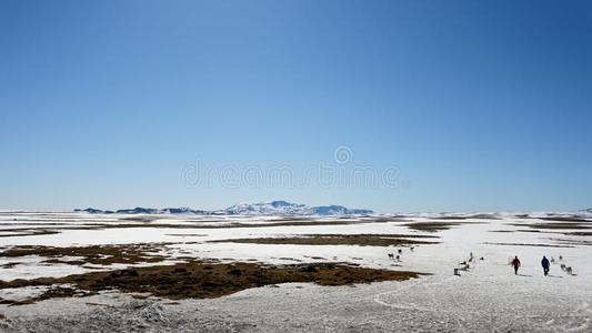 荒野 土地 天气 阳光 春天 地平线 自然 丘陵 乡村 雪盖