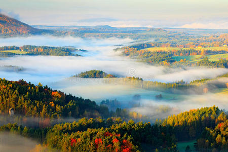 捷克典型的秋季景观。 有雾的早晨的山丘和村庄。 波西米亚瑞士公园的早秋山谷。 山的智慧