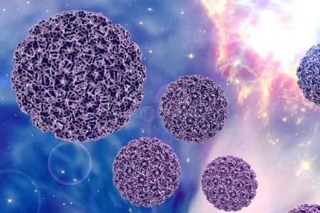 皮肤 真实的 瘤病毒 微粒 生殖器 有机体 细胞 人类