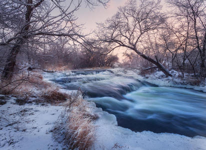 灌木 降雪 日出 寒冷的 芦苇 国家 十二月 场景 运动