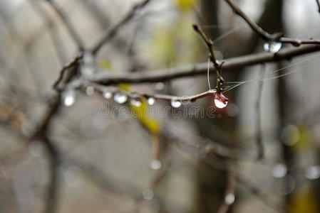 雨滴