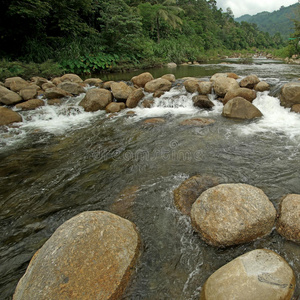 自然 岩石 森林 级联 跋涉 流动 流动的 瀑布 风景 旅行